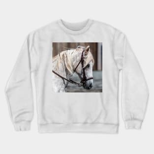 Freckles are cute! Crewneck Sweatshirt